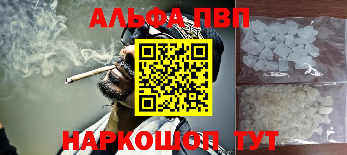 МЕФ Гатчина