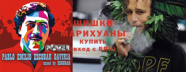 ПСИЛОЦИБИНОВЫЕ ГРИБЫ Балабаново