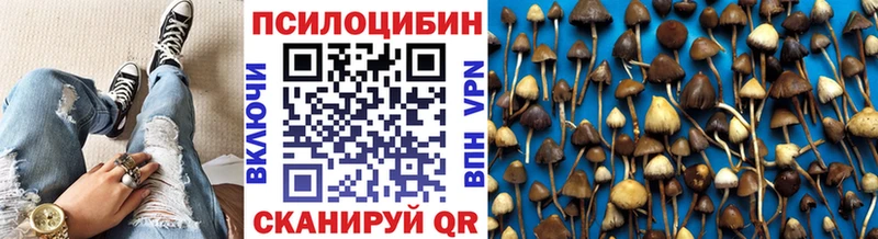 Галлюциногенные грибы Cubensis  Гатчина 
