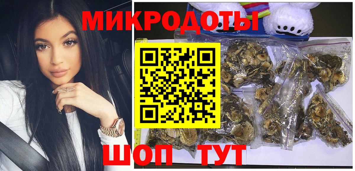 Псилоцибиновые грибы MAGIC MUSHROOMS Гатчина