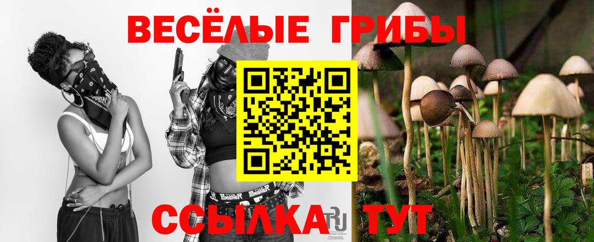 Галлюциногенные грибы ЛСД Гатчина