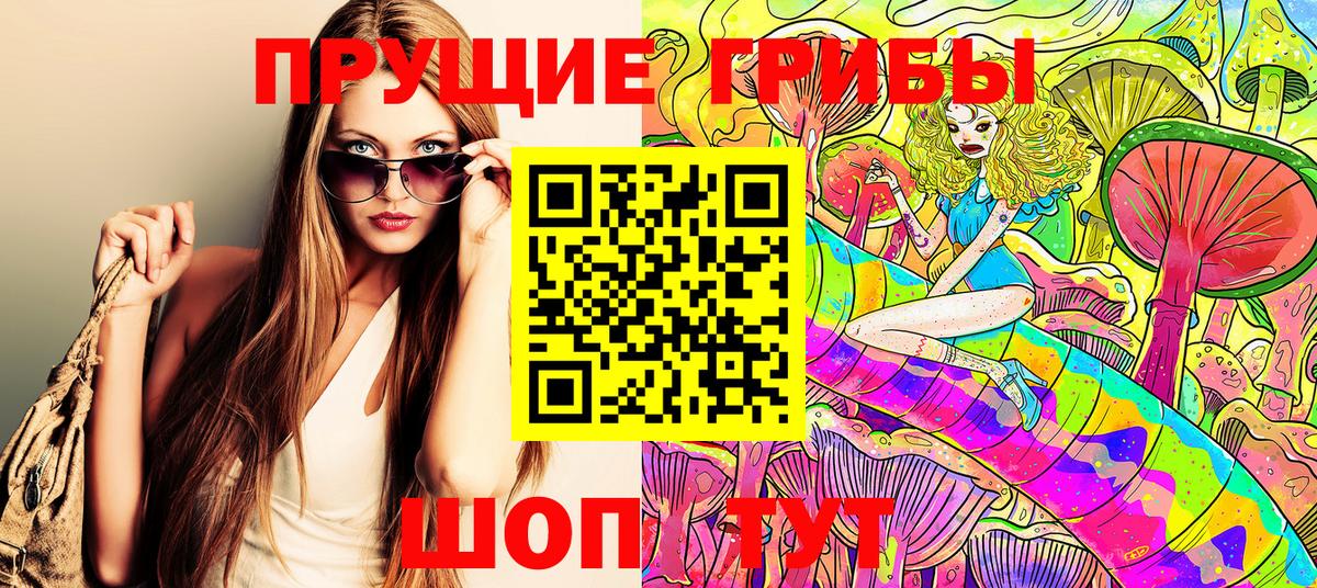 купить закладку  Галлюциногенные грибы GOLDEN TEACHER  Гатчина  Галлюциногенные грибы Magic Shrooms 