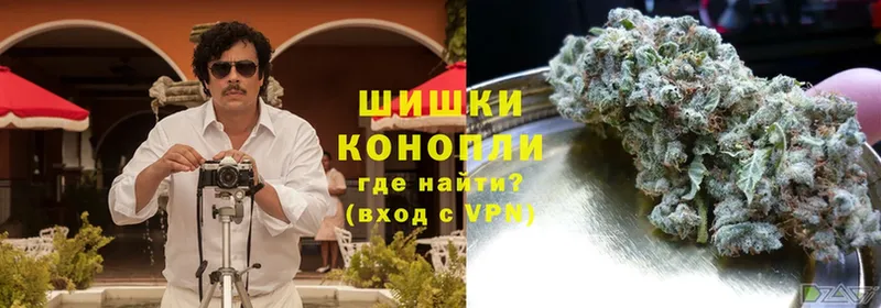 Канабис план  где купить   Гатчина 